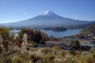 Volcano Fuji or Fudschijama with snow-capped summit, 3776 m high volcano, at Lake Kawaguchi,