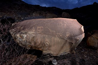 Rock engravings at Rhino Spring in last daylight, illuminated, Mik Mountains, Kunene Region,