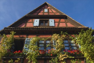 Old patrician house, half-timbered, flowers, in Wissembourg, Alsace, France, Europe