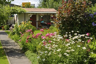 Blooming flowers in front of garden arbour in allotment garden, allotment garden, Dortmund, North