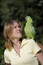 Woman with Salvadori miller amazon (Amazona farinosa virenticeps), France, Europe