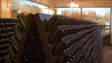 Champagne bottles on shaking desks in a traditional wine cellar, Sicilian wine, Sicily, Italy,