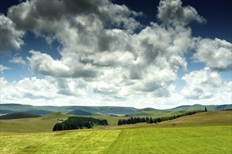 Cezallier plateau in the Auvergne volcanoes regional natural park, Puy de Dome department,