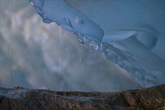 Melting ice of the Svartisen glacier, Helgeland, Norway, Europe