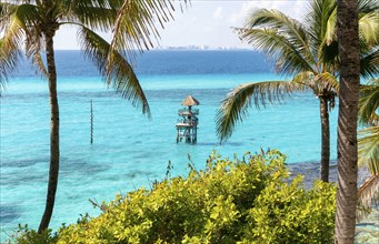 Palm trees at Garrafon Natural Reef park, Isla Mujeres, Caribbean Coast, Cancun, Quintana Roo,