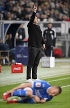 Coach André Breitenreiter TSG 1899 Hoffenheim, gesti, k gesture, on the sidelines, foul on Pavel