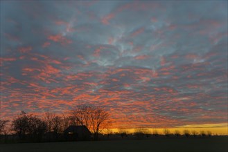 Sunset, sky on fire, house on the Dijkweg, Holwierde, Eemsdelta, Groningen, Netherlands