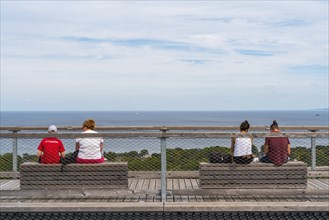 Visitors look from the Usedom treetop walk to the Baltic Sea, Baltic resort Heringsdorf, Usedom