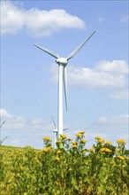 Wind turbine in Saxony