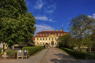 Diesbar Seußlitz, Castle