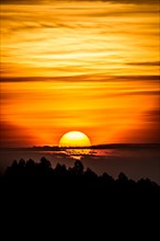 Sunrise over the trees, Rwanda, Africa