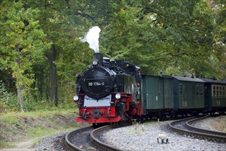 The Rasender Roland steam locomotive, Rügen Island, Mecklenburg-Western Pomerania, Germany, Europe