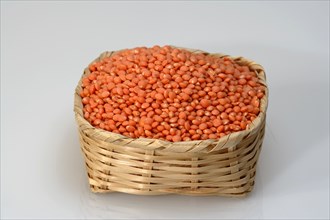 Basket with lentils (Lens culinaris)