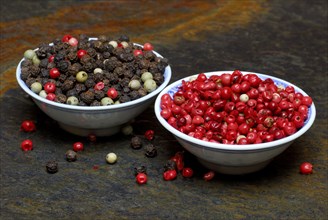 Peppercorns, in shell, pepper