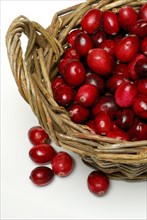 Cranberries (Vaccinium macrocarpon) , Cranberry, Basket, Basket