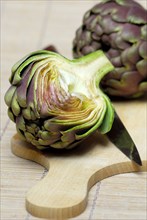 Artichoke (Cynara scolymus Cynara cardunculus) on cutting board with knife (Cynara scolymus, Cynara