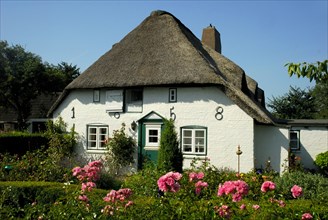 Friesenhaus, Rieddachhaus, Nebel, Amrum Island, North Friesland, Schleswig-Holstein, Germany,