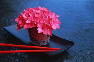 Hydrangea in vase and chopsticks (Hydrangea macrophylla), Chopsticks