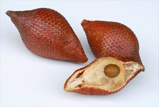 Salak (Salacca edulis)