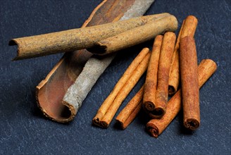 Cinnamonbark and sticks, cassia, Ceylon