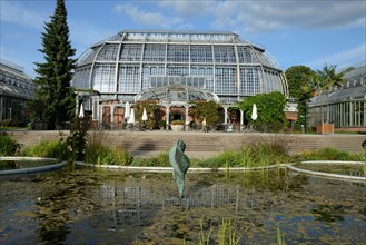 Botanical garden, greenhouse, large tropical house, Berlin-Lichterfelde, Berlin, Germany, Europe