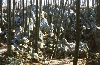 Hemer (MK) The sea of rocks. ca 1981-2