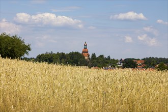 On the edge of Eisenberg, you can look across ripe cornfields to the Moritzburg Evangelical