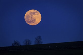 Full Moon over the Evening Sky of the Easter Mountains