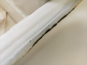 Mould formation on the silicone seal of a shower cubicle