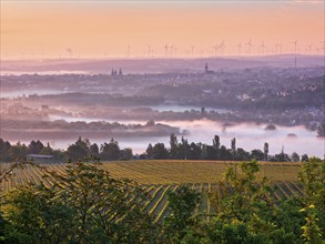 View at sunrise over vineyard and morning fog on Naumburg with cathedral and Wenceslas church,