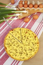 Swabian cuisine, salted cream cake with spring onions, hearty cake, salty shortcrust, baked, out of