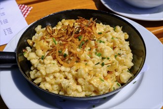 Cheese spaetzle, food, at the Graukogel Hut, Swiss Pine Trail at the Graukogel, Bad Gastein,