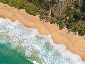 Aerial view of Paliku aka Donkey Beach, Kauai, Hawaii, USA, North America