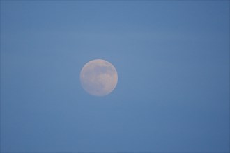 Moon shining in the evening, ebro delta, Catalonia, Spain, Europe