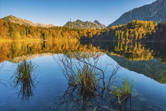 Freibergsee, near Oberstdorf, with the Allgäu Alps behind, Allgäu, Bavaria, Germany, Europe