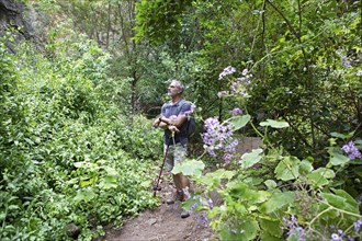 Hikers in the Barranco de la Virgen, Gran Canaria, Canary Islands, Spain, Europe