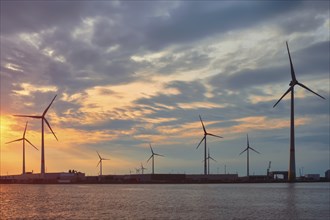 Wind turbines power electricity generators in Antwerp port on sunset. Antwerp, Belgium, Europe