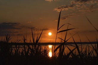 Sunset in Hirschauer Bucht on Lake Chiemsee in the nature reserve at the mouth of the Tiroler