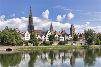 City view, Danube bank with historic old town, fishermens quarter, Metzgerturm and cathedral, Ulm,