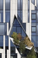 Green façade on the Kö-Bogen, commercial and office building, architecture by Daniel Libeskind,