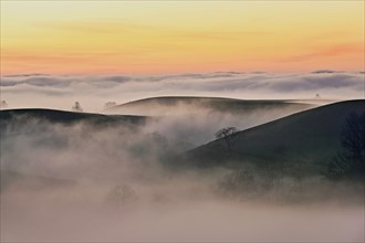 Drumlin landscape in the fog, in the light of the setting sun, Hirzel, Canton Zurich, Switzerland,