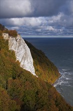 Chalk cliffs at the Königsstuhl, Königsstuhl, Jasmund National Park, Rügen Island,