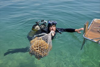 Sponge diver Kristijan Jaram with a net full of sponges of the genus Dalmata fina, Krapanj,