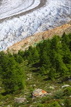 Aletsch Glacier, Valais, Switzerland, Aletsch Glacier, Europe