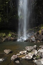 Protesters falls, waterfall, water, fresh, nature, environment, Nightcap National Park, Queensland,