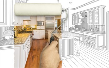 Before and after of man painting roller to reveal custom kitchen photograph under pencil sketch