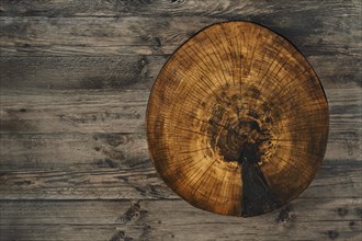 A rustic log slice for chopping food showcases its natural texture and growth rings while lying on