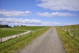 Road and driveway to the dyke near Varel, district of Friesland, Lower Saxony, Germany, Europe