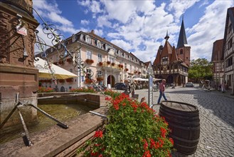 Market square with market fountain and geraniums, historic town hall and buildings under a blue sky