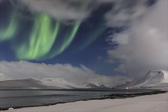 Northern Lights over fjord landscape, Aurora borealis, snow, winter, mountains, Thingeyri,